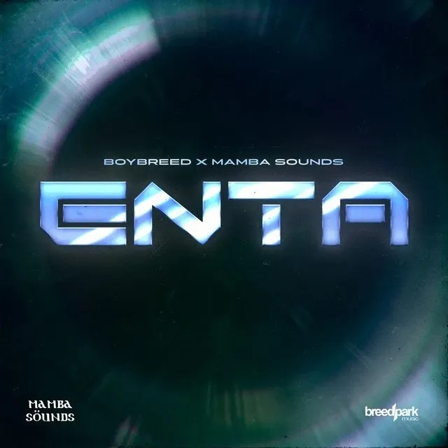 Boybreed Enta ft Mamba Sounds Mp3 Download