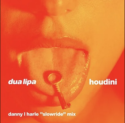Dua Lipa – Houdini (Danny L Harle Slowride Mix) Mp3 Download