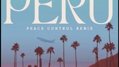 Fireboy DML & Peace Control Peru (Peace Control Remix) Mp3 Download